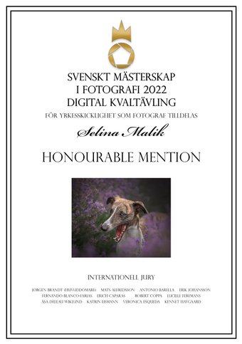 Honourabel mention - digital kvaltävling i SM i fotografi, Selina Malik