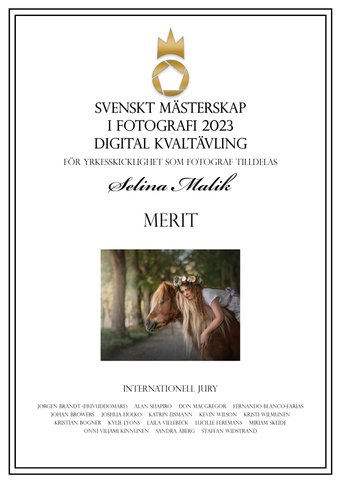 Merit - digital kvaltävling 2023 i SM i fotografi. Selina Malik.